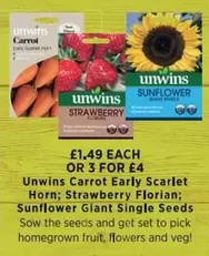 Carrot Early Scarlet Horn, Strawberry Florian, Sunflower Giant Single Seeds