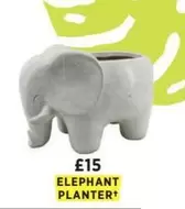 Elephant - ELEPHANT PLANTER