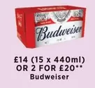 Budweiser - -