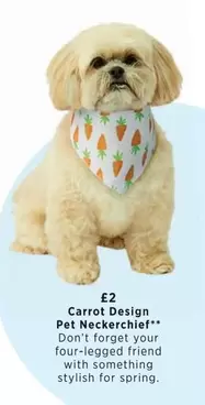 Carrot Design Pet Neckerchief