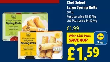Chef - Large Spring Rolls