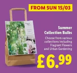 Sun - Summer Collection Bulbs
