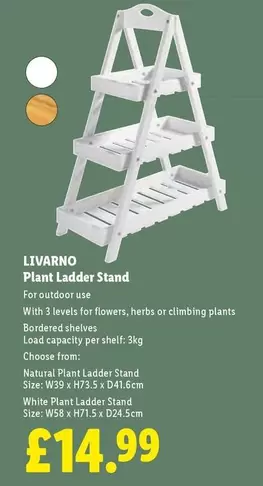 Livarno - Plant Ladder Stand