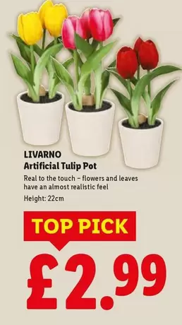 Livarno - Artificial Tulip Pot