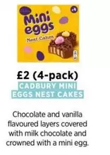 Cadbury - MINI EGGS NEST CAKES
