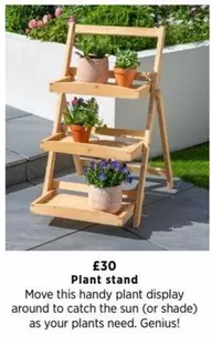 Sun - Plant stand