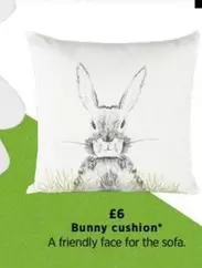 Bunny cushion