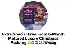 Luxury - Free From 6-Month Matured  Christmas Pudding
