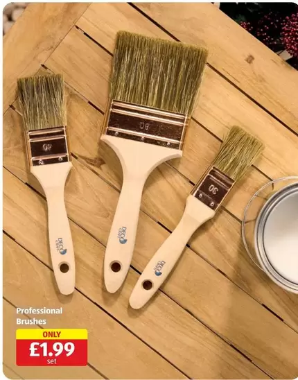 Professional Brushes