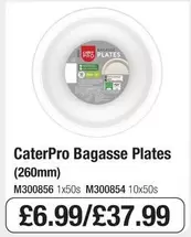 Bagasse Plates