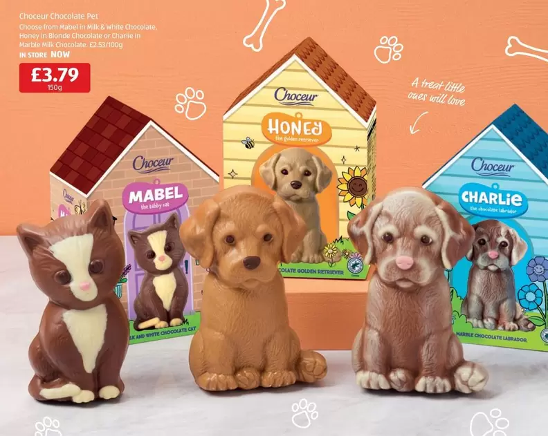 Charlie - HONCA, MABEL, CHARLIE