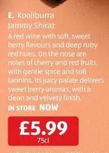 Shiraz - Jammy