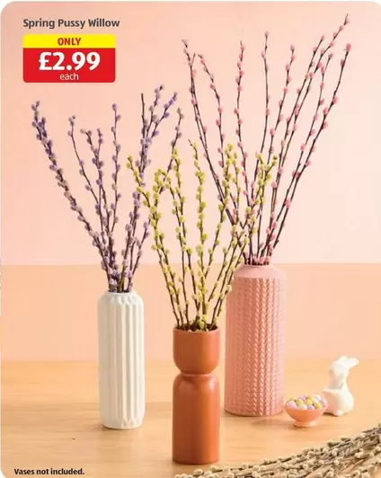 Willow - Spring Pussy