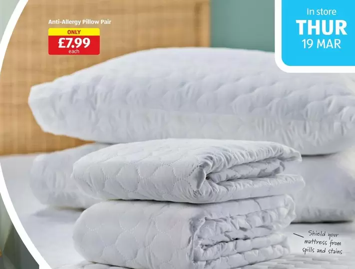 Anti Allergy Pillow Pair