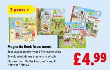 Magnetic Book Assortment