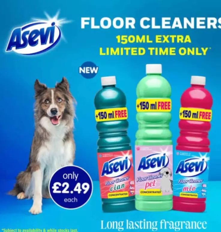 Floor Cleaners