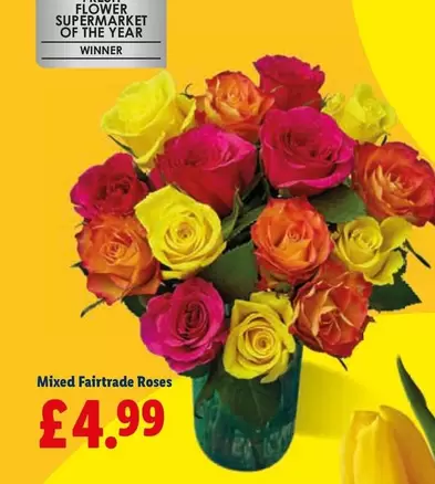 Mixed Fairtrade Roses
