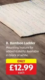 Bamboo Ladder