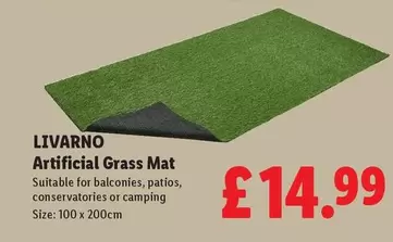 Livarno - Artificial Grass Mat