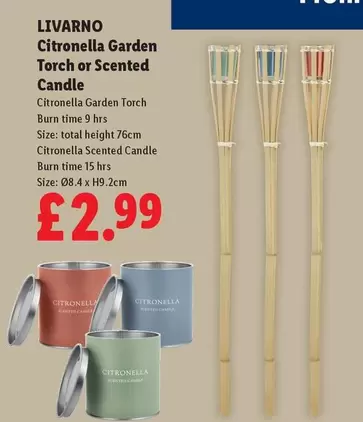 Livarno - Citronella Garden Torch or Scented Candle