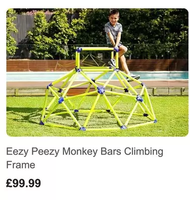 Monkey Bars Climbing Frame