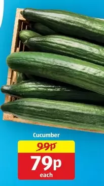 Cucumber