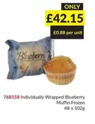 Frozen - 768558 Individually Wrapped Blueberry Muffin  48 x 102g