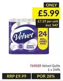 Velvet -  Quilts 765029
