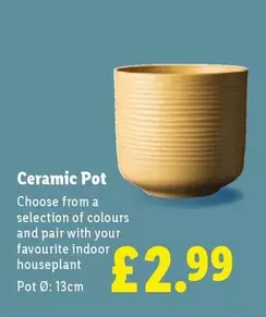Ceramic Pot