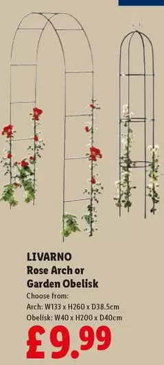 Livarno - Rose Arch or Garden Obelisk