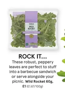 Wild Rocket