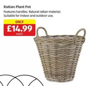 Rattan Plant Pot
