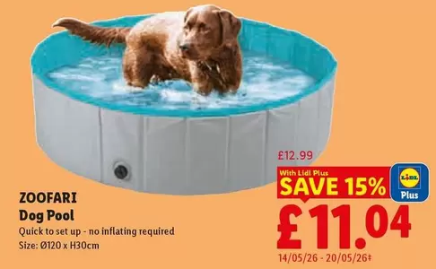 Lidl - Dog Pool