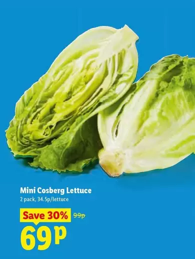Mini Cosberg Lettuce