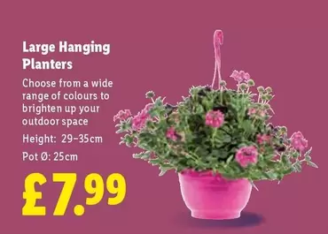 Large Hanging Planters