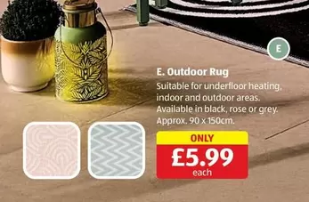 Outdoor Rug