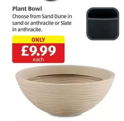 Dune - Plant Bowl