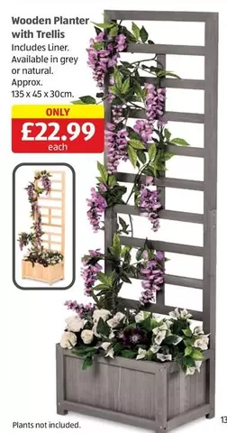 Wooden Planter with Trellis