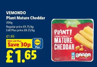 Lidl - Plant Mature Cheddar