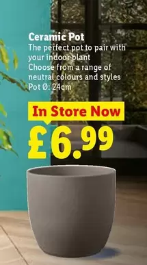 Ceramic Pot
