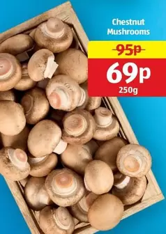 Chestnut Mushrooms