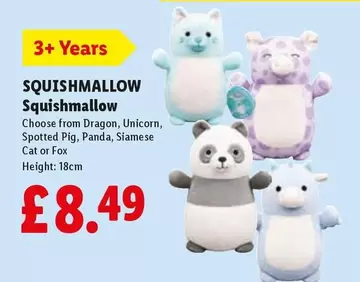 Panda - Squishmallow