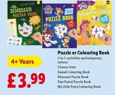 Puzzle or Colouring Book