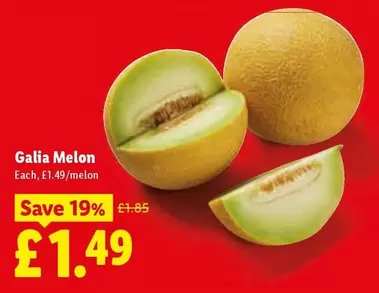Galia Melon
