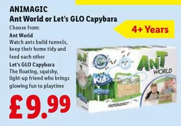 Ant World or Let's GLO Capybara