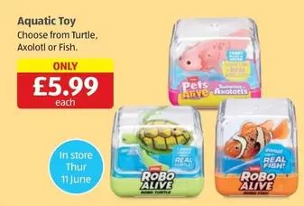 Aquatic Toy