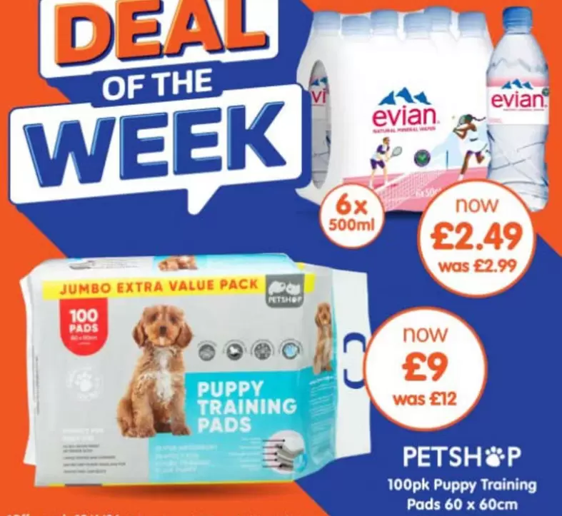 Jumbo - Puppy Training Pads Extra Value Pack
