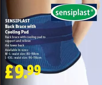 Back Brace with Cooling Pad