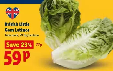 Little Gem Lettuce