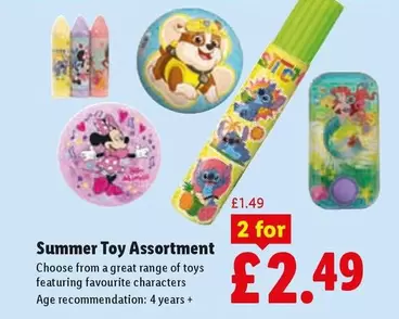 Summer Toy Assortment